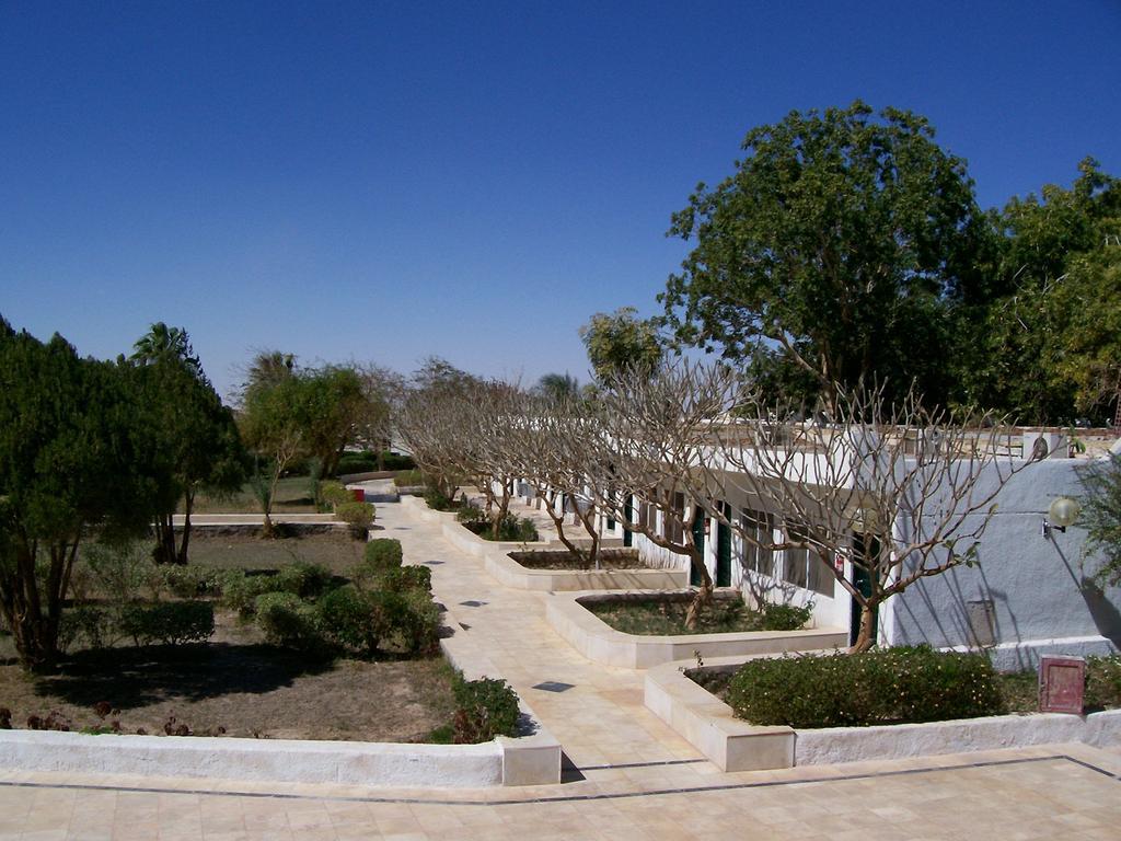 Nefertari Hotel Abu Simble Abu Simbel Zewnętrze zdjęcie