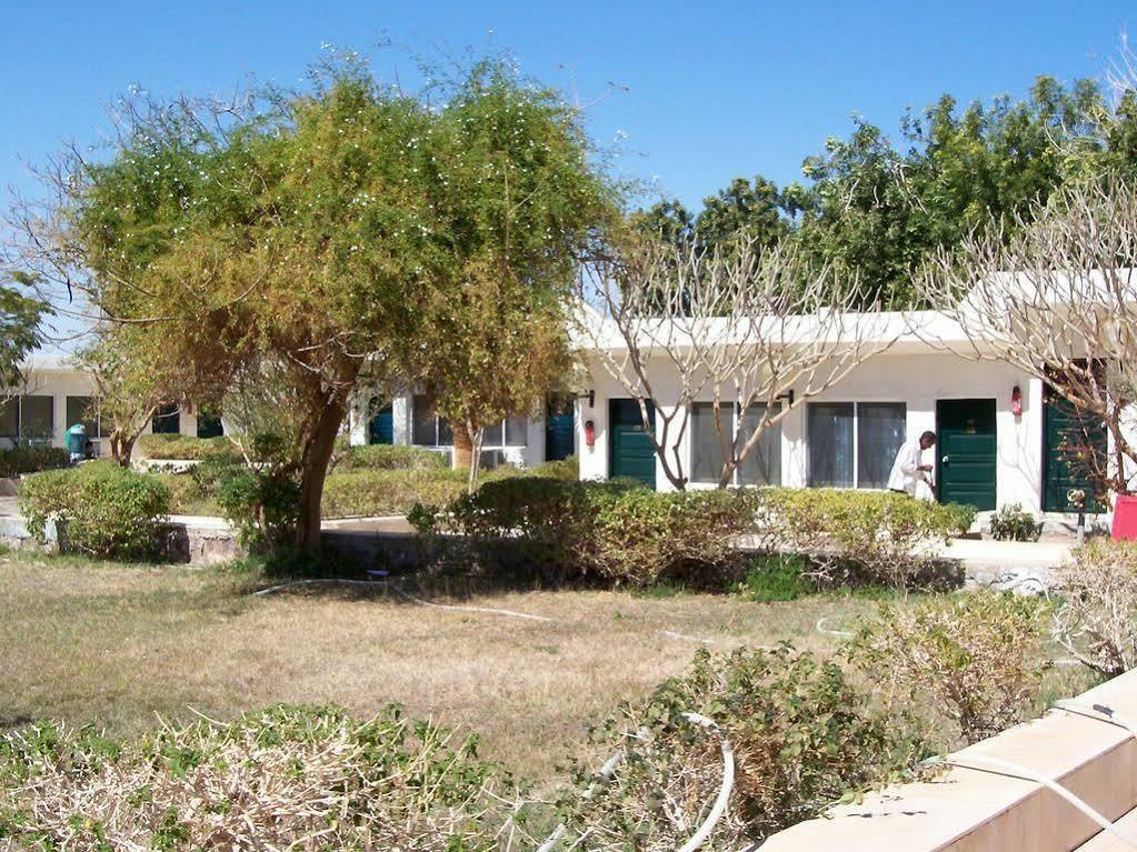 Nefertari Hotel Abu Simble Abu Simbel Zewnętrze zdjęcie