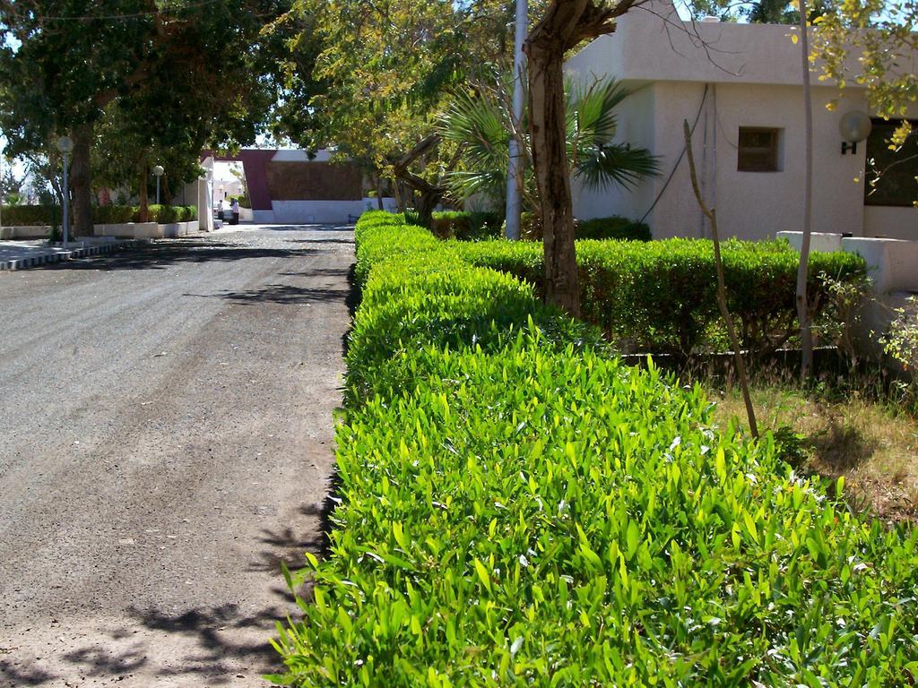 Nefertari Hotel Abu Simble Abu Simbel Zewnętrze zdjęcie