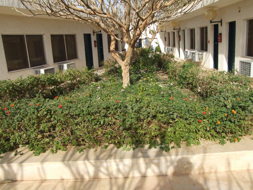 Nefertari Hotel Abu Simble Abu Simbel Zewnętrze zdjęcie